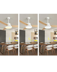 WOMO  3 Blade Ceiling Fan Lamp-WM5132