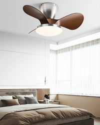 WOMO 24 Inch Small Low Profile Ceiling Fan Lamp - WM5159