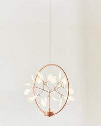Rose-gold modern organic chandelier shown from an angled side view, revealing the visual depth created by its circular frame and branching interior.