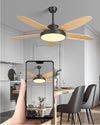 WOMO 5 Blade Modern Ceiling Fan Lamp-WM5131 thumbnail