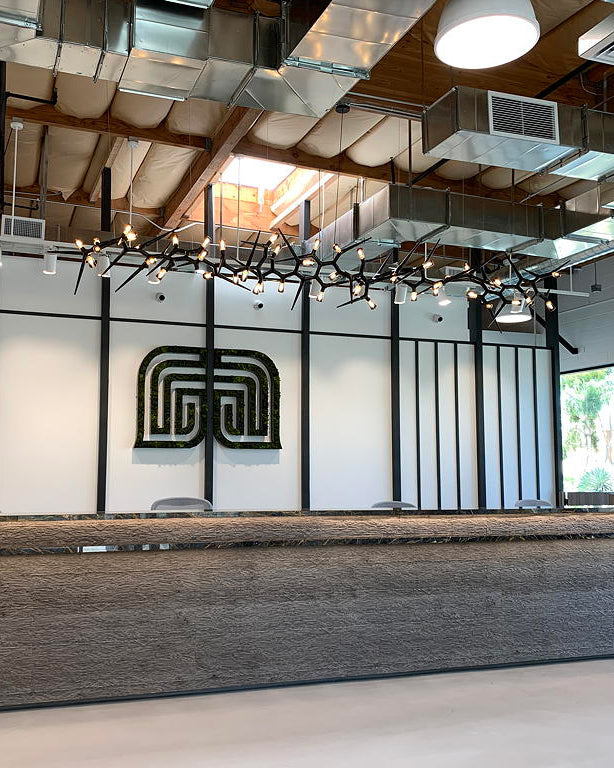 WOMO Black Branch Chandelier-WM2672