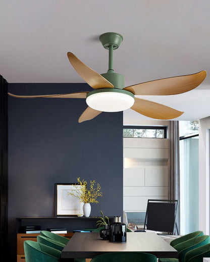 WOMO 5 blade Modern Ceiling Fan Lamp-WM5049