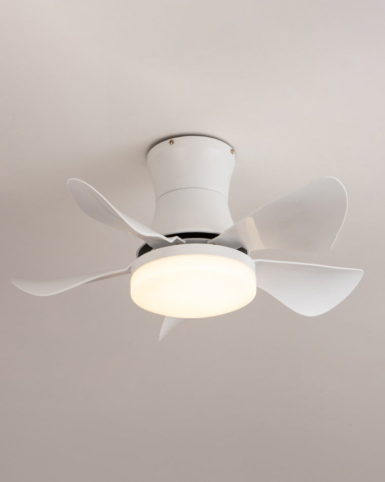 WOMO Small Ceiling Fan Lamp-WM5088