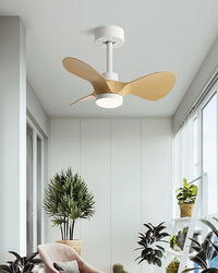 WOMO 24 inch Small Ceiling Fan Lamp- WM5172