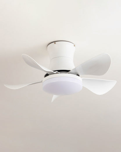 WOMO Small Ceiling Fan Lamp-WM5088