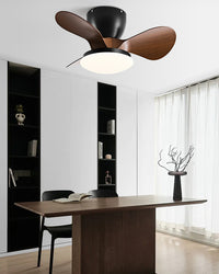 WOMO 24 Inch Small Low Profile Ceiling Fan Lamp - WM5159