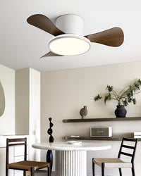 WOMO Small Low Profile Ceiling Fan Lamp - WM5166