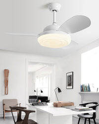 WOMO Modern Ceiling Fan with Bright Light - WM5169