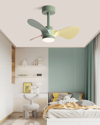 WOMO 24 inch Small Ceiling Fan Lamp- WM5172