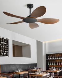 WOMO Modern Ceiling Fan - WM5168