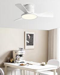 WOMO 3 Blade Low Profile Ceiling Fan Lamp - WM5170