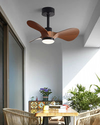 WOMO 24 inch Small Ceiling Fan Lamp- WM5172