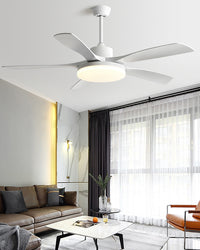 WOMO 60 inch Large Ceiling Fan Lamp - WM5179