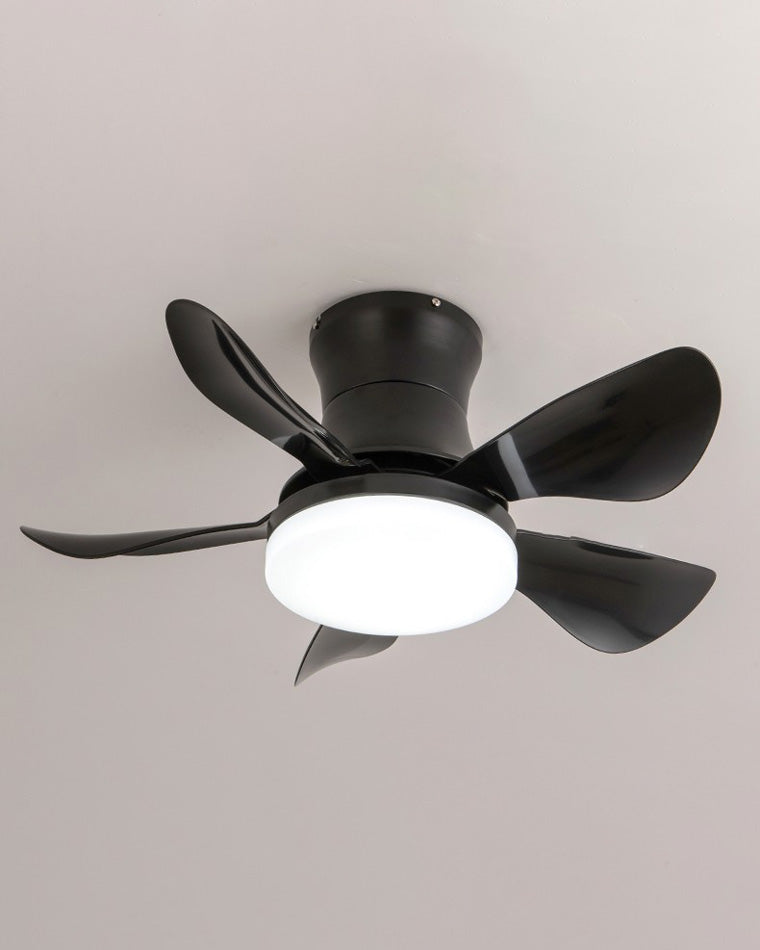 WOMO Small Ceiling Fan Lamp-WM5088