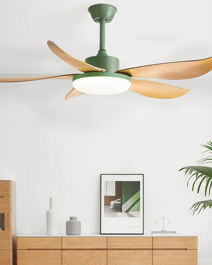 WOMO 5 blade Modern Ceiling Fan Lamp-WM5049