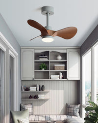 WOMO 24 inch Small Ceiling Fan Lamp- WM5172