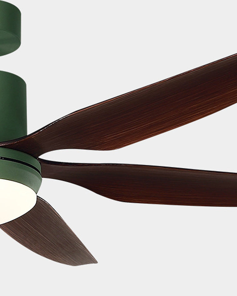 WOMO 5 Blade Large Ceiling Fan Lamp-WM5064