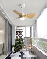 WOMO 24 inch Small Ceiling Fan Lamp- WM5172