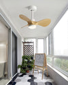 WOMO 24 inch Small Ceiling Fan Lamp- WM5172 thumbnail