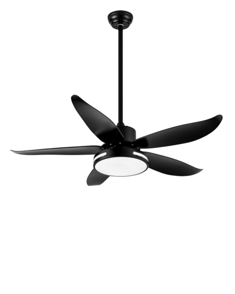 WOMO 5 Blade Contemporary Ceiling Fan Lamp-WM5000