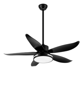 WOMO 48" Ceiling Fan Lamp-WM5000
