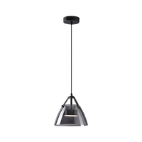 WOMO 3 Light Smoked Glass Pendant Light-WM2238