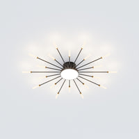 WOMO Firework Sunburst Flush Mount Ceiling Light-WM1001
