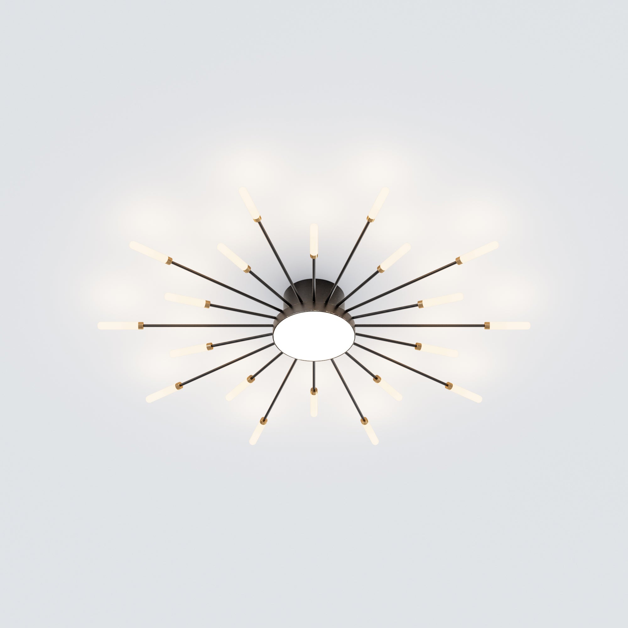 WOMO Firework Sunburst Flush Mount Ceiling Light-WM1001