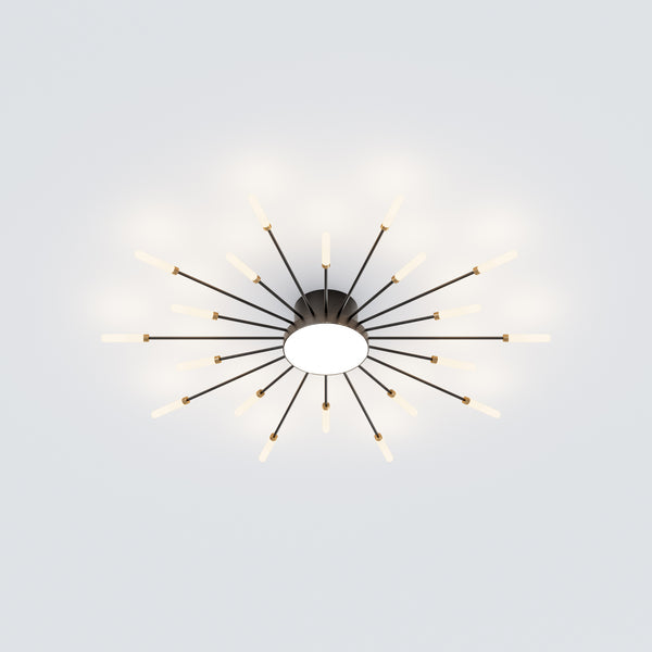 WOMO Firework Sunburst Flush Mount Ceiling Light-WM1001