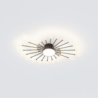 WOMO Firework Sunburst Flush Mount Ceiling Light-WM1001