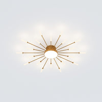 WOMO Firework Sunburst Flush Mount Ceiling Light-WM1001