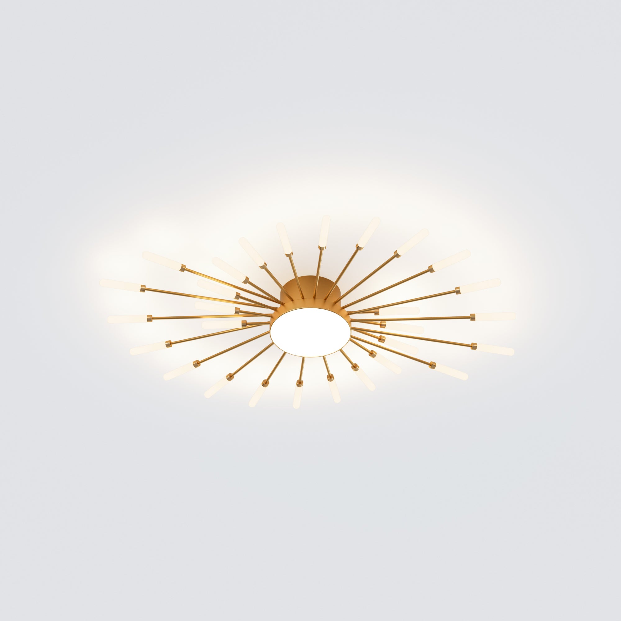 WOMO Firework Sunburst Flush Mount Ceiling Light-WM1001