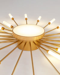 WOMO Firework Sunburst Flush Mount Ceiling Light-WM1001