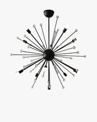 Black flower chandelier viewed from below, showing radial metal arms, clear glass globe accents, exposed warm-white bulbs, and a round canopy.