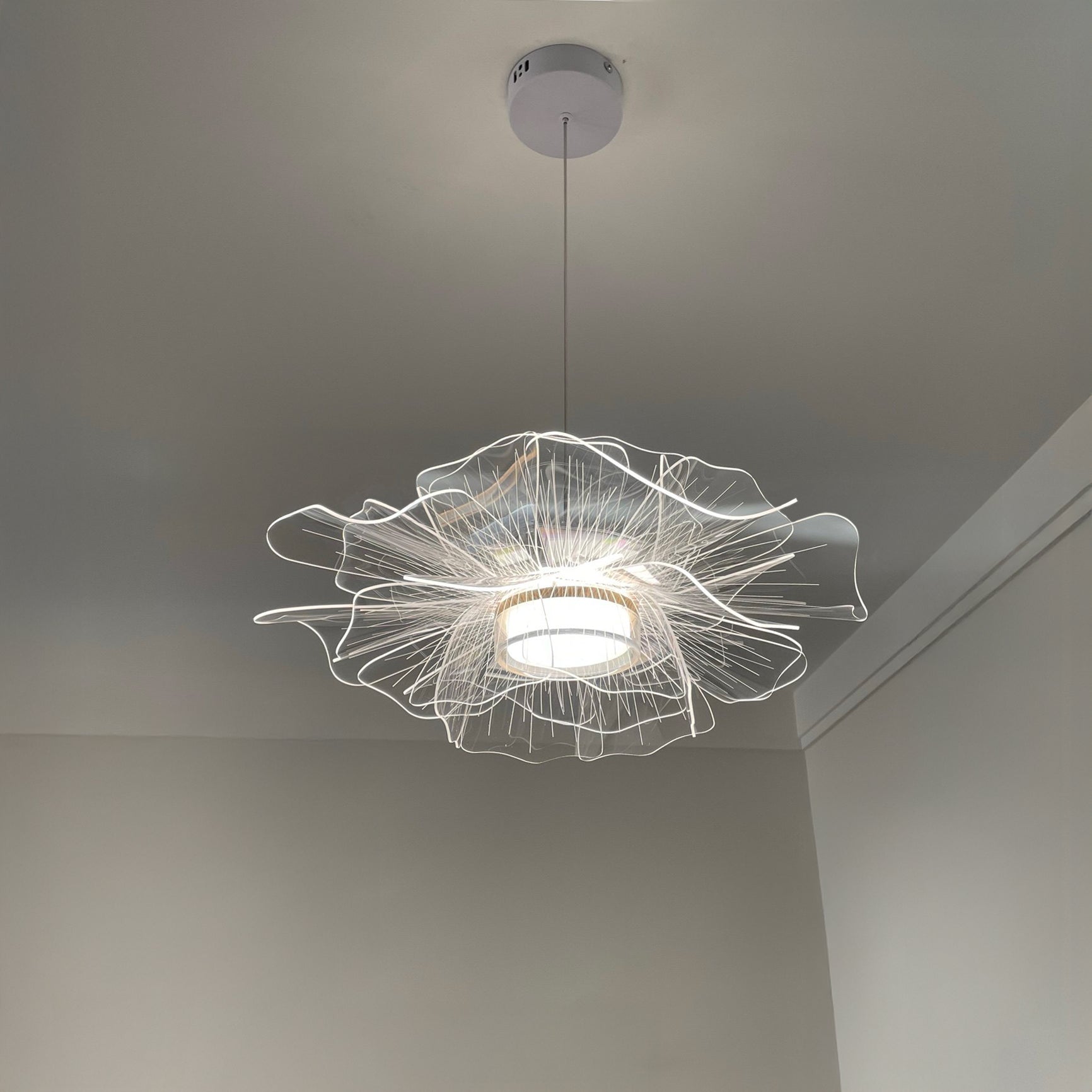 WOMO Acrylic Flower Pendant Light - WM3129