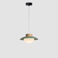 WOMO Dome Glass Pendant Light - WM3144