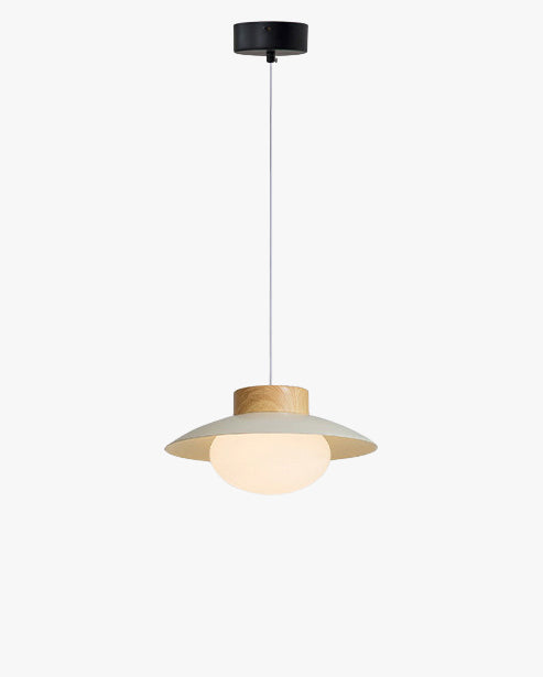 WOMO Dome Glass Pendant Light - WM3144