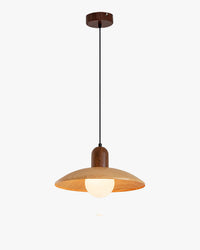WOMO Metal Dome Pendant Light-WM3158