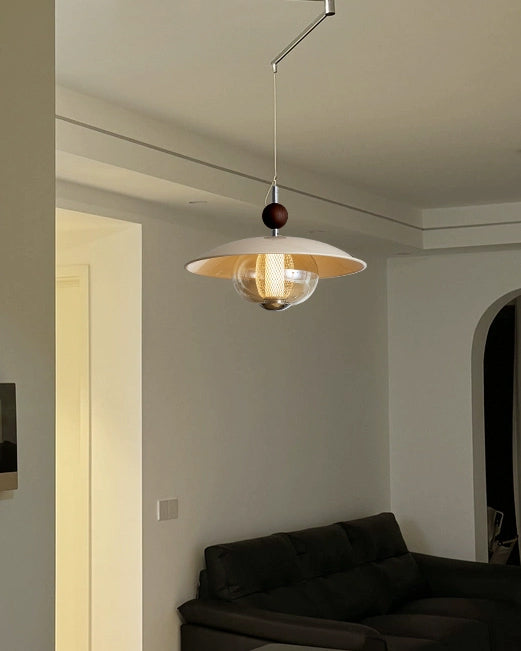 WOMO Glass Dome Swing Arm Pendant Light-WM3161