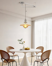 WOMO Glass Dome Swing Arm Pendant Light-WM3161