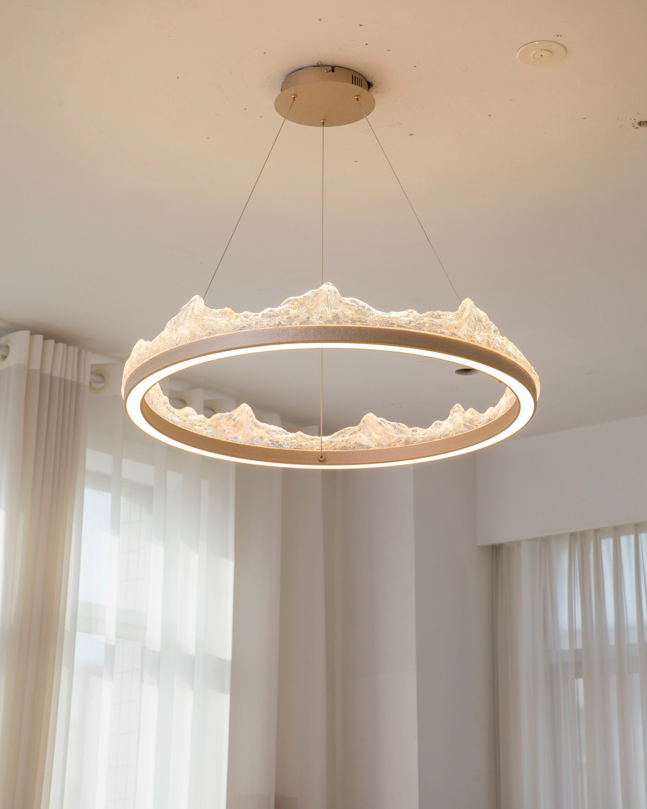 WOMO Resin Ring Led Pendant Light-WM3178