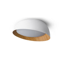 WOMO Wood Grain Asymmetrical Flush Mount Ceiling Light-WM1016