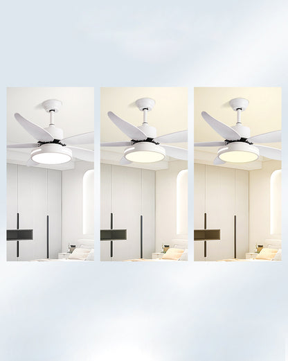 WOMO 5 Blade Contemporary Ceiling Fan Lamp-WM5000