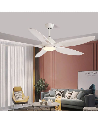 WOMO Modern Large Ceiling Fan Lamp-WM5076