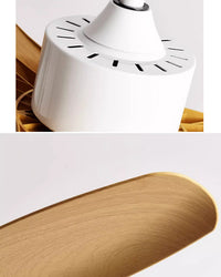 WOMO 3 Blade Ceiling Fan Lamp-WM5127