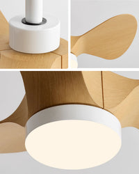 WOMO 24 inch Small Ceiling Fan Lamp- WM5172