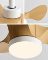 WOMO 24 inch Small Ceiling Fan Lamp- WM5172 thumbnail