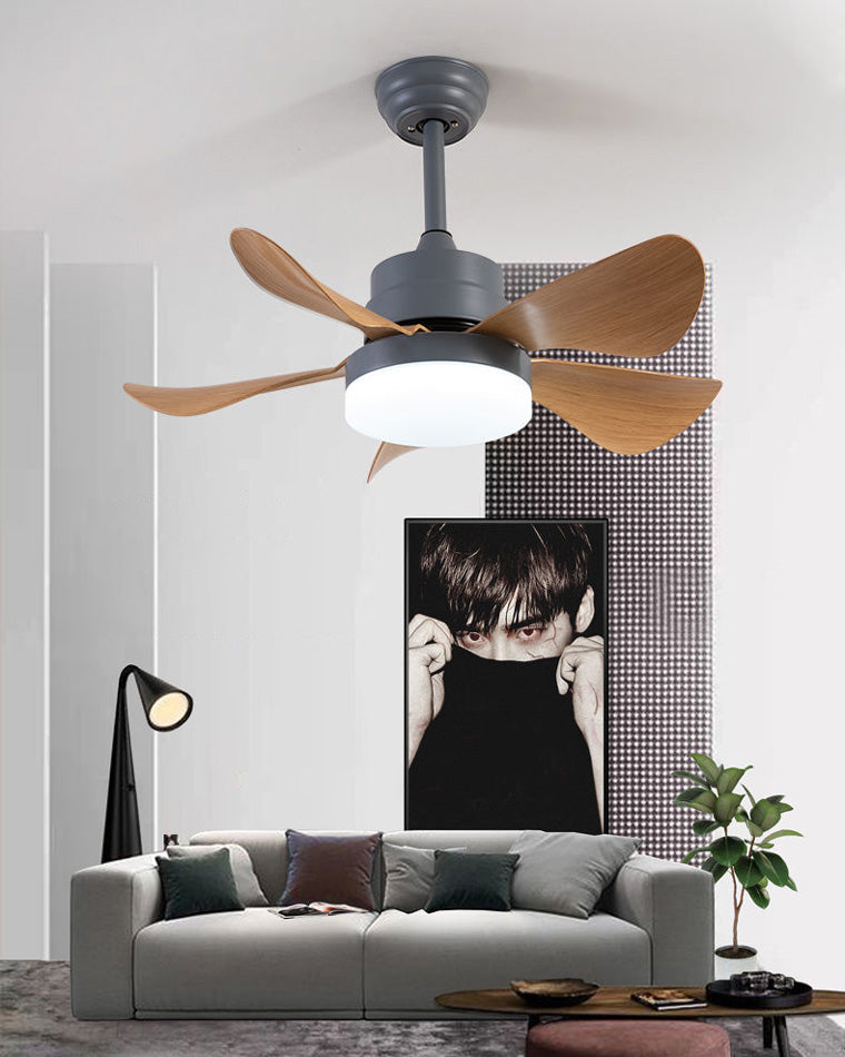 WOMO Small Ceiling Fan Lamp-WM5060