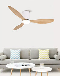 WOMO 3 Blade Modern Ceiling Fan Lamp-WM5006