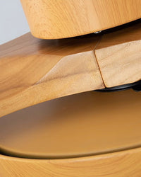WOMO 3 Wood Blade Ceiling Fan Lamp-WM5090